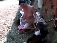 Boxer is playing with chick outdoors
