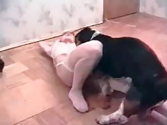 Hound dog fucks this pigtailed slut