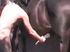 Naked chick squeezes stallion's dick