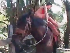 Sexy black stallion and hot rider