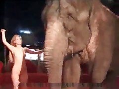 Elephant and slender naked blonde!