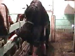 Small black pony is screwing with slut