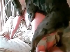 Glamorous slut is licking animal's dork