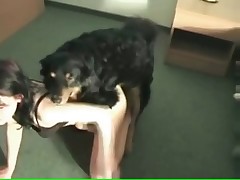 Black hound is penetrating her vagina