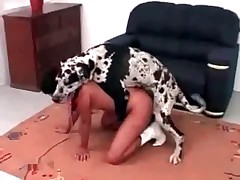 Giant Dalmatian is penetrating Asian muff