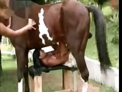 Hot compilation with horses and chicks