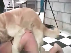 Boxer fucks bitch so intensive on cam