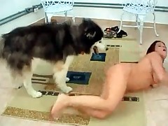 Busty bitch is playing with husky