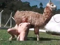 Blonde is posing in front big lama