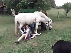 Awesome pony is getting a good blowjob