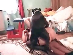 Bitch kisses her lovely boxer in the face