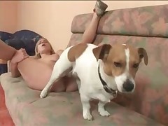 Spaniel has an awesome sex with woman