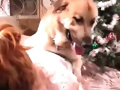 Couple of dogs is screwing one slut