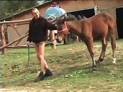 Man smells horse's asshole on cam