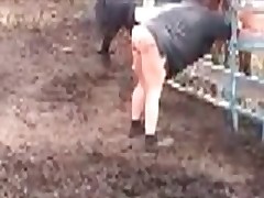 Horse tries to fuck hard outdoors