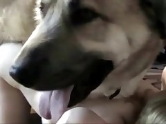3some action with two babes and doggy