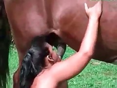 Kinky whore gets fucked by mare