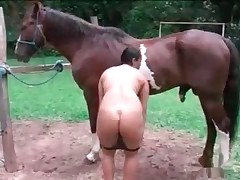 big is wanking horse in her wide mouth