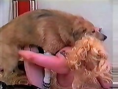 Puppy is screwing kinky lass in soft twat