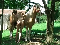 Giant stallion and petite bitch