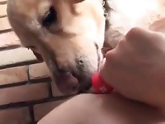 Hot doggy is licking her cute Asian face
