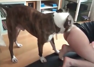 Brutal sex of a dog and nice woman