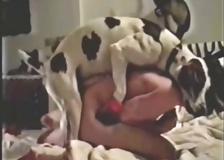 Bowwow porn featuring a prepossessing queen and her beast