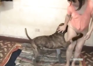 Aesthetic brunette and her playful dog enjoy bestiality