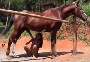 Brown stallion and Latina are enjoying bestiality