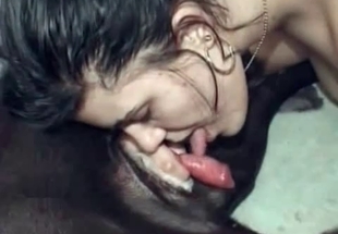 Dog dick being licked and pleasured