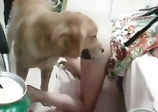 Submissive whore takes a dog's dick so hard