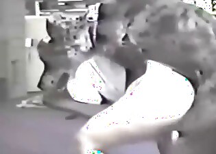 Black dog is working on this bitch's hot pussy