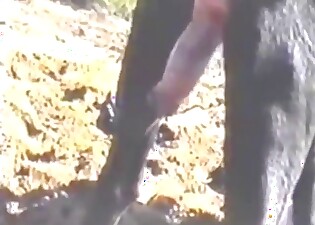 Danish whore is going to get fucked by a dog