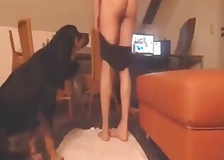 Sexy twink bends over to get his asshole fucked