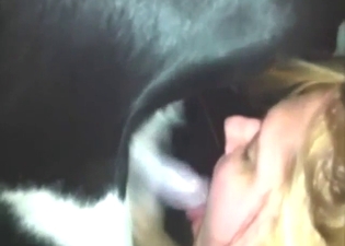 Zoo XXX with a blond-haired zoophile sucker