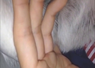 Dude fingers the tight pussy of a horny animal