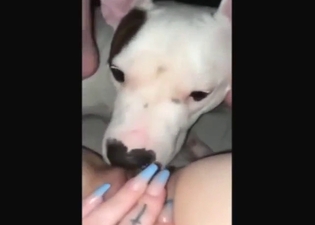 Sexy animal is going to lick her oozing cunthole
