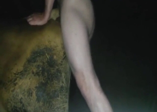 Dude wants to inseminate a sexed-up cow here