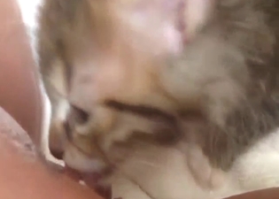 Kitty knows where her clitty is, uses it very well