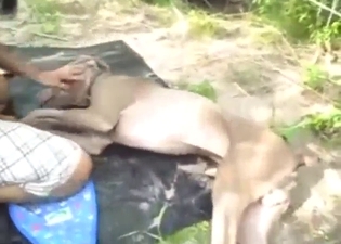 Dog is going to fuck that bitch with utmost care