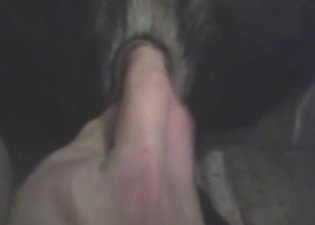 Fingering that dog is most intoxicating feeling