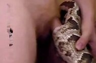 Fisting bestiality xxx